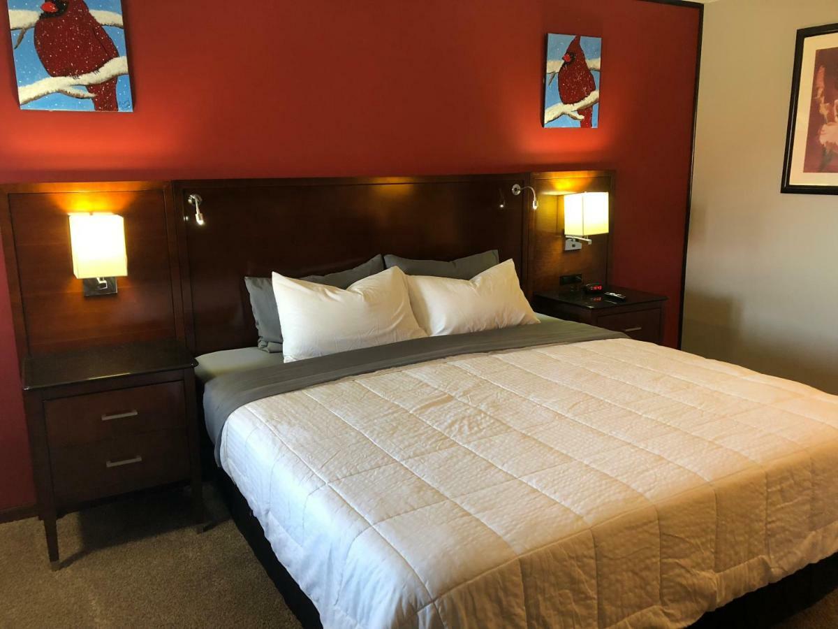 Viking Motel 2*